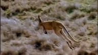 Australia - ziemia, której nie tknął czas (film dokumentalny) - seria IMAX