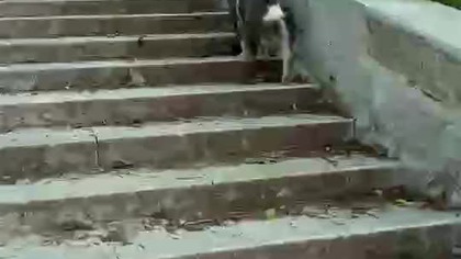 Schodki, mnie nie męczą .