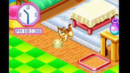 Catz - przewodnik po grze (GBA) Tydzień 1