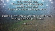 świadectwo uzdrowienia nogi