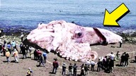 KRAKEN - ukryta broń ROSJI?