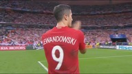 Polska na EURO 2016