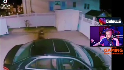 *NOWA* Technologia Rosyjska  - discord guano