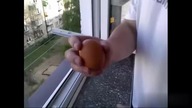 Meet the Sniper, but its polish viral