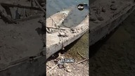 Holland Island Erosion: Witnessing Natures Unrelenting Forces!  #history #rightnow #checkout