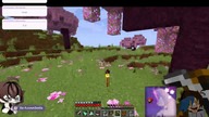 (   -  ) 