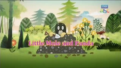 017 - Krecik i Panda - Rybka w kałuży Odcienk 17