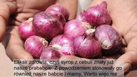 Naturalny eliksir zdrowia - Syrop z cebuli - NAJLEPSZY przepis!