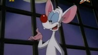 Pinky i M&oacute;zg S03E10 - Czarna teczka Pinkiego