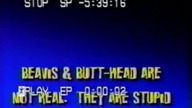 Beavis and Butthead S02E04 Stewarts House