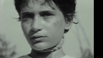 CIAŁO I DUSZA. - The Last Ashes.  (2023) lektor