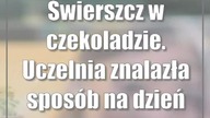 Świerszcz w czekoladzie.  Uczelnia znalazła sposób na dzień otwarty