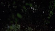 Scarecrows (1988) Żywe Trupy