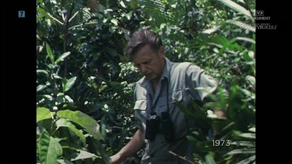 \ TVP Dokument i Historia - Specjalne logotypy na 85.  rocznicę zbrodni katyńskiej (13. 04. 2025)