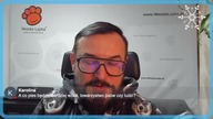 Jak uszczęśliwić Twojego psa