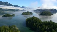 David Attenborough: Życie Na Naszej Planecie (2020) Lektor FHD