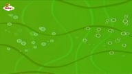 Baby TV - Plansza rekreacyjna (noc 12/13.07.2022)
