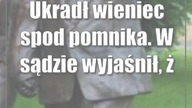 Ukradł wieniec spod pomnika.  W sądzie wyjaśnił, że kocha Jana Pawła II