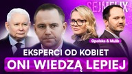 SPECJALIŚCI OD NICZEGO.  POLITYCY TŁUMACZĄ ŚWIAT | SEJMFLIX