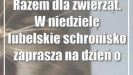 Razem dla zwierząt.  W niedzielę lubelskie schronisko zaprasza na dzień otwarty