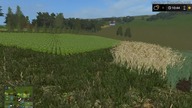 Żniwa  1 bizon  Farming Simulator 17