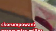 skorumpowani pracownicy millor limonka kuma sushi