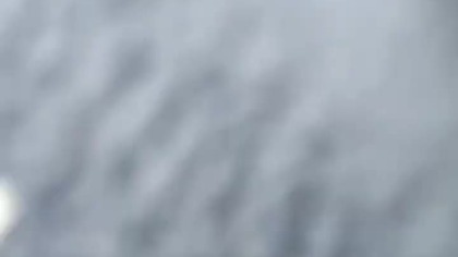 Liczenie króliczków #bunny