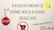 Dlaczego nie powinno się kupować zwierząt w sklepach zoologicznych