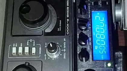 Najciekawsze momenty na żywo