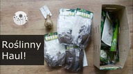 Roślinny Haul! Jakie rośliny kupiłam do ogrodu oraz na balkon. Zakupowy vlog #1