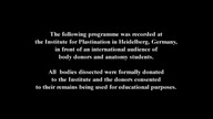 ANATOMIA DLA POCZĄTKUJĄCYCH | CZ. 3 - TRAWIENIE | LEKTOR PL | +18 |