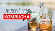 Grzyb kombucha: przepis. Jak zrobić herbaciany grzyb? Czajnikowy.pl