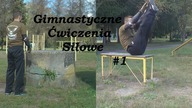 Sekcja Gimnastyki WSOWL - ćwiczenia siłowe semestr letni