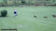 Ataki dzikich bestii na ludzi