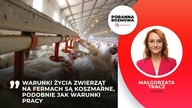 Małgorzata Tracz: Kwestie sanitarne na fermach mną wstrząsnęły