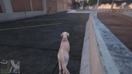 GTA Online