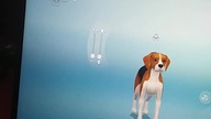 lubicie Beagle? a może bardziej kotki ? The sims 4 i wirtualny domek #gra #thesims4 #game #beagle
