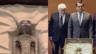 Mumie Istot Pozaziemskich.  Czy nie stanowią ziemskiej ewolucji?