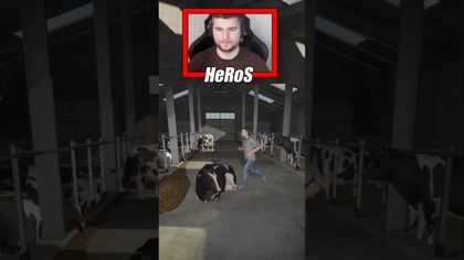 KROWY UCIEKŁY Z ZAGRODY  #farming