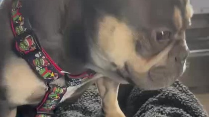 Wracamy po pracy w rekamie.