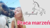 Horseprinceski - Praca marzeń
