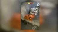 Bystrzak TV - SZOK! BYSTRZAK POKAZUJE POK&Oacute;J SIWEGO, MEGA BURDEL !!