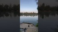 Łowisko Wysepka o poranku #wędkarstwo #carpfishing #ryby #fishing #łowca #lucio #karp #carp #rybki