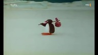 Pingu - Odcinek 9 (VIVA Polska Fanmade)