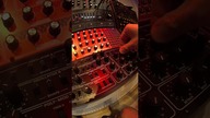 STUDIO SHORT #2