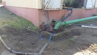 Słoniątko vs betonowy zbiornik