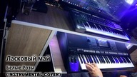  -   (Instrumental Cover)