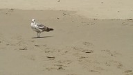 Dzień na plaży