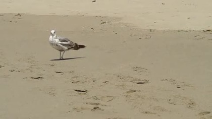 Dzień na plaży