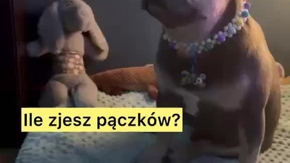 Smacznego tłustego czwartku życzę.